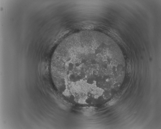 X0000066530363200603311826