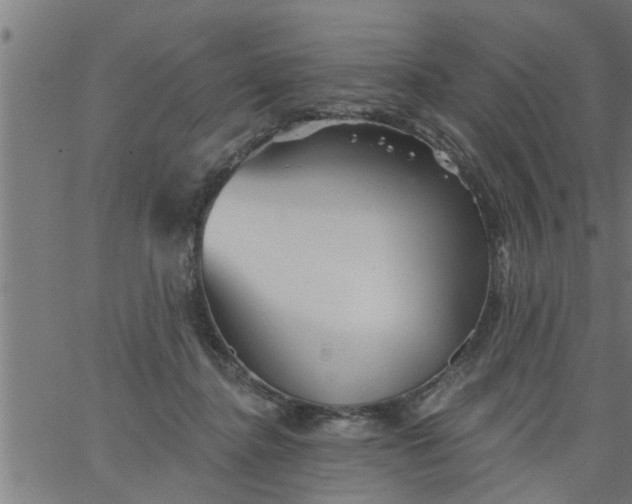 X0000066530364200603311826