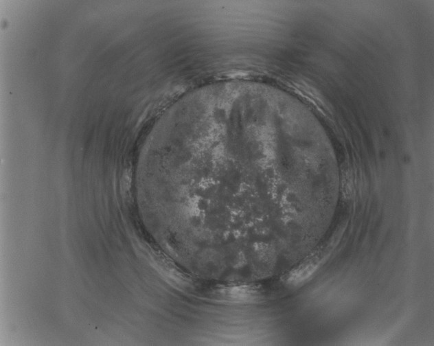 X0000066530365200603311826