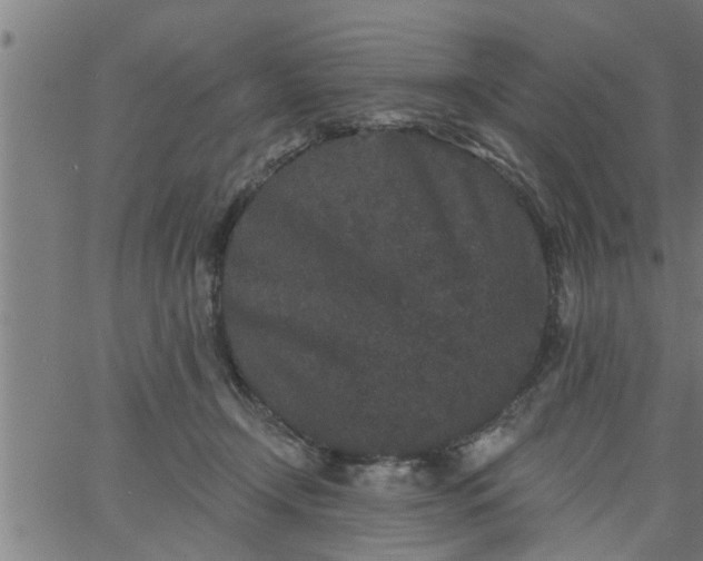 X0000066530366200603311826