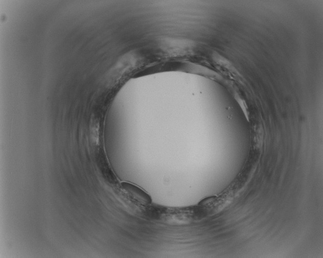 X0000066530368200603311826