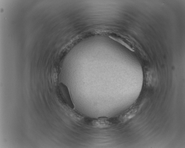 X0000066530372200603311826