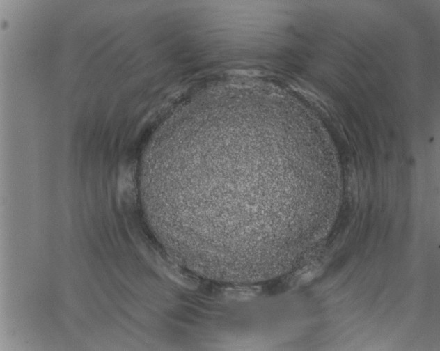 X0000066530373200603311826