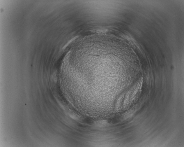 X0000066530374200603311826