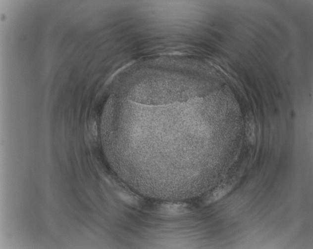 X0000066530375200603311826