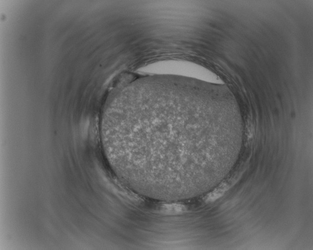 X0000066530376200603311826