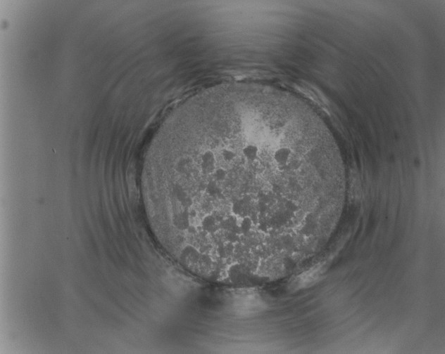 X0000066530377200603311826