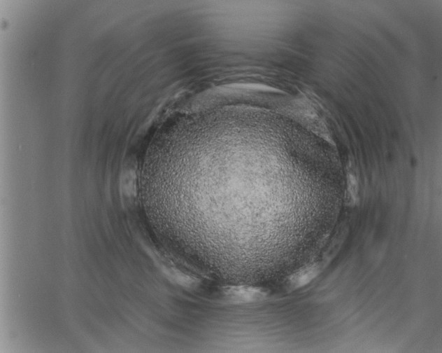 X0000066530379200603311826