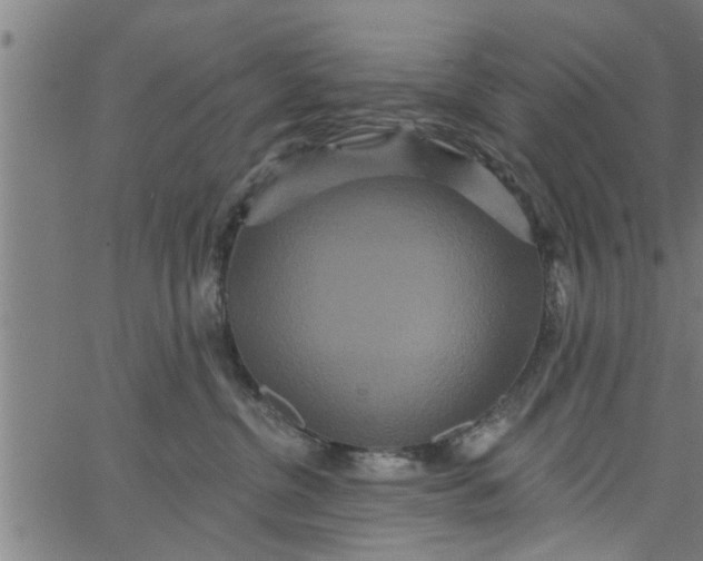 X0000066530380200603311826