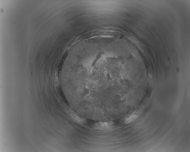 X0000066530381200603311826