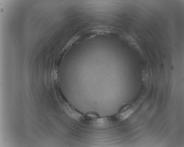 X0000066530382200603311826