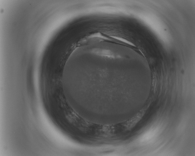 X0000066530383200603311826