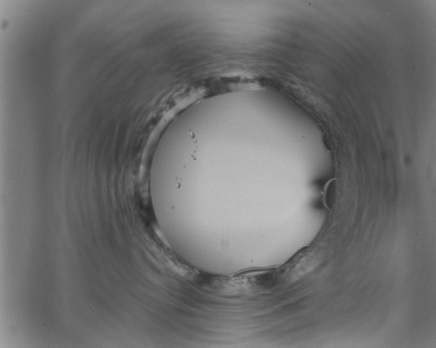 X0000066530384200603311826