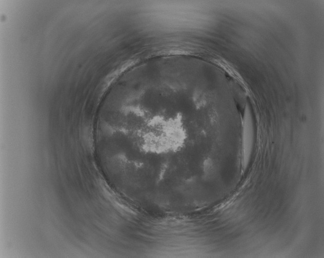 X0000066530386200603311825