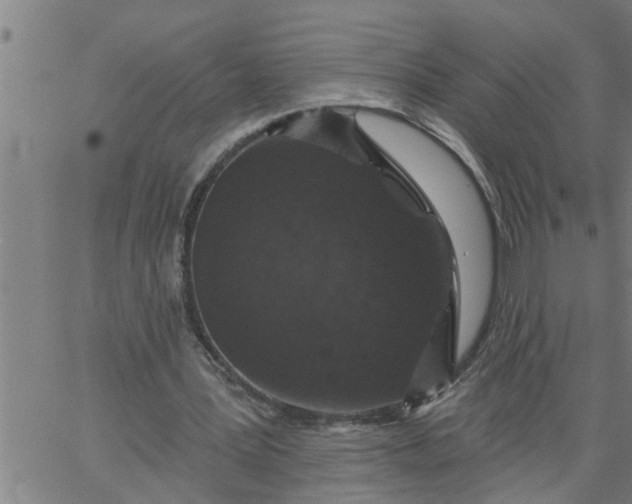 X0000066530387200603311825