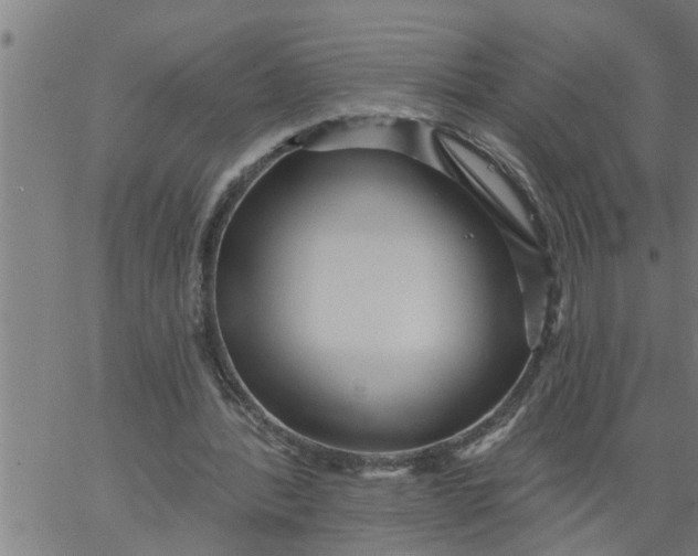 X0000066530388200603311825