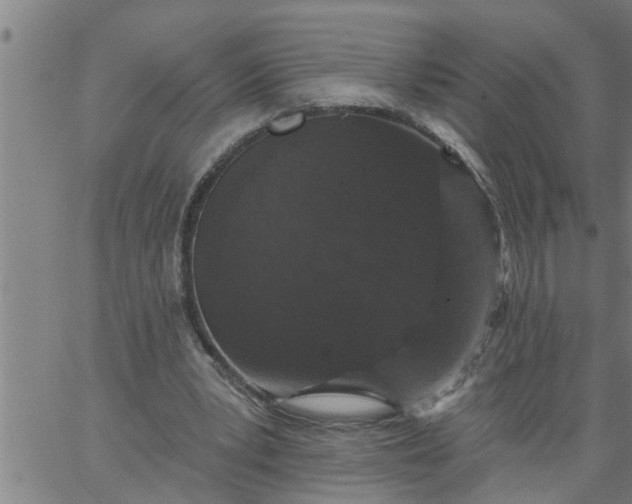 X0000066530391200603311825