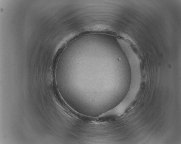 X0000066530392200603311825