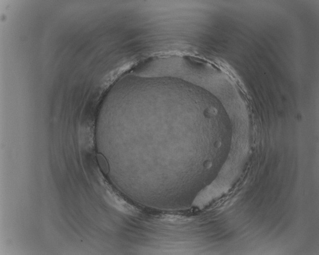 X0000066530393200603311825