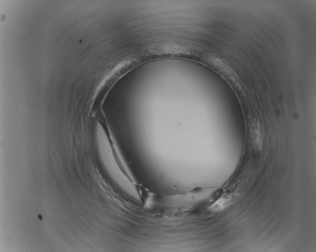 X0000066530395200603311825