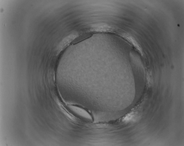 X0000066530397200603311825