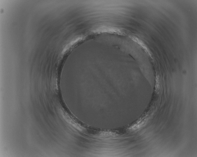 X0000066530399200603311825