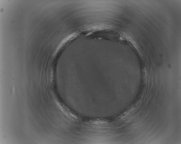 X0000066530400200603311825