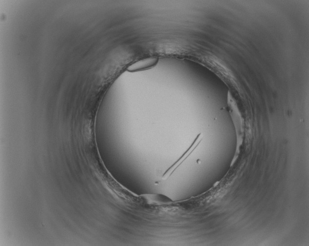 X0000066530401200603311825