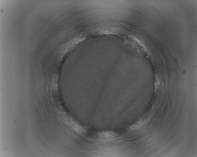 X0000066530402200603311825