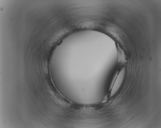 X0000066530403200603311825