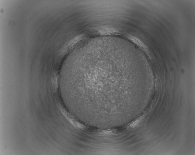 X0000066530405200603311825