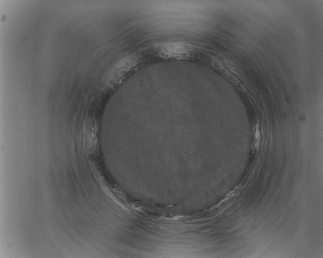 X0000066530408200603311825