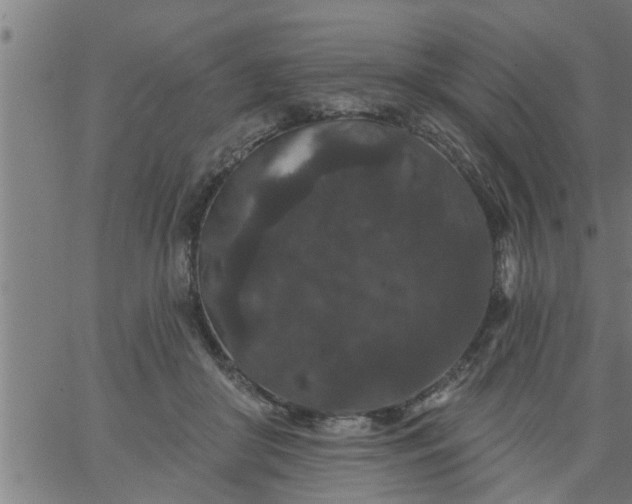 X0000066530410200603311825