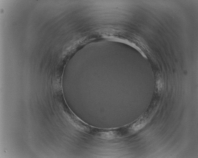 X0000066530411200603311825