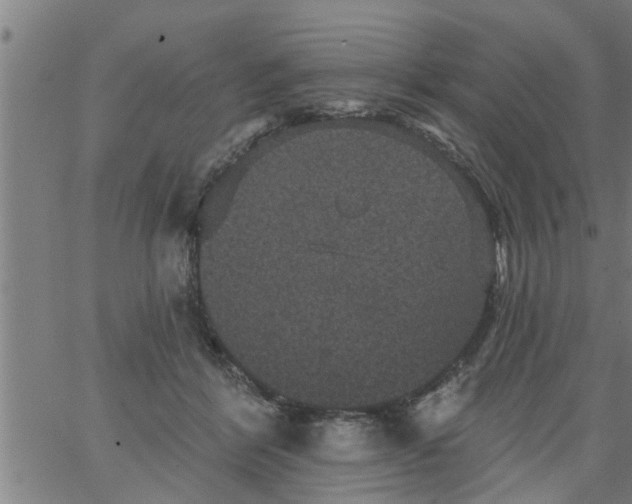 X0000066530412200603311825