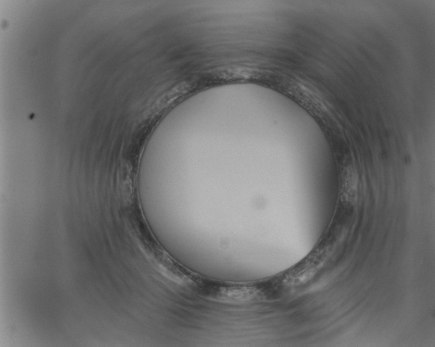 X0000066530414200603311825