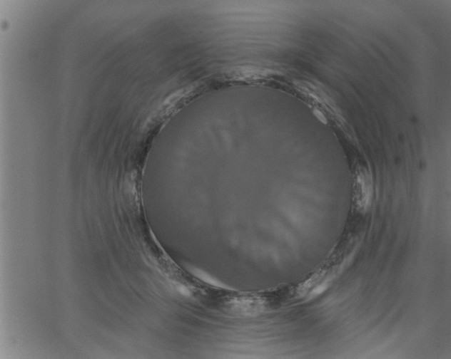 X0000066530415200603311825