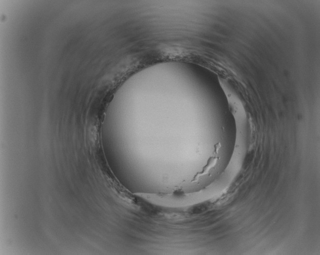 X0000066530417200603311825