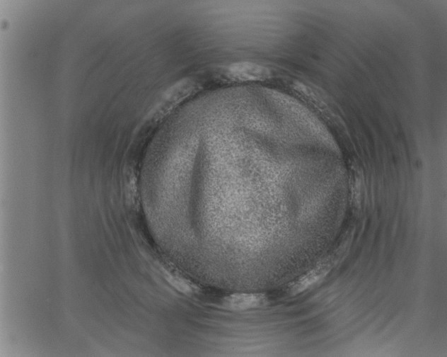 X0000066530418200603311825