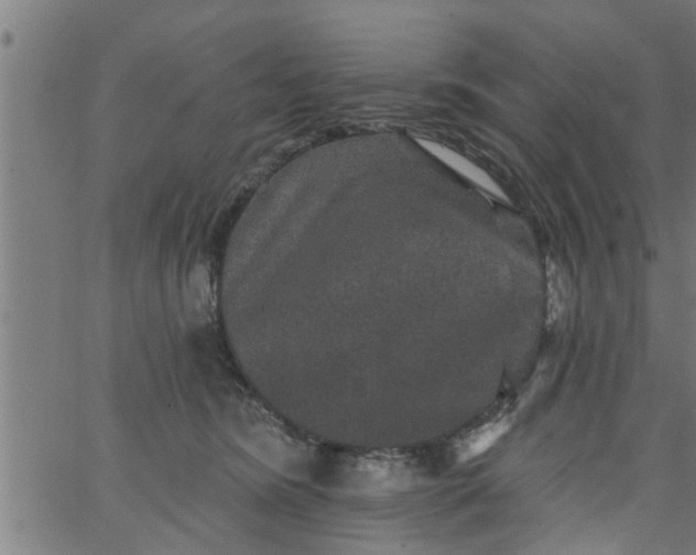 X0000066530420200603311825