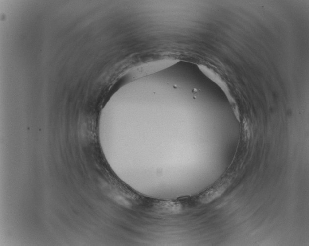 X0000066530421200603311825