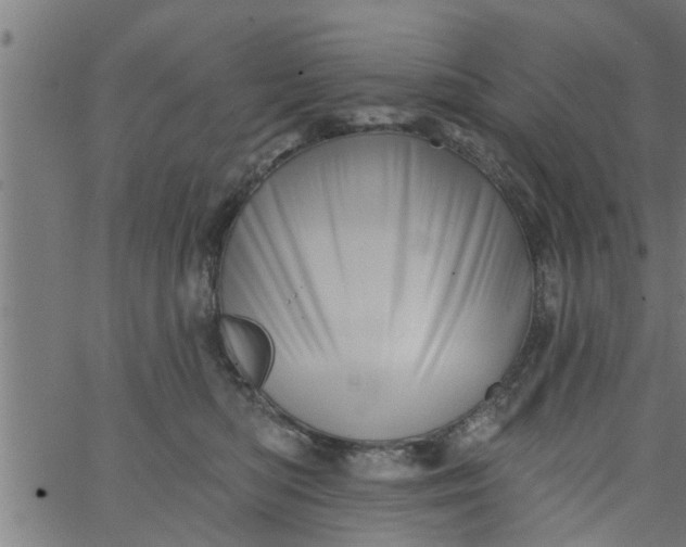 X0000066530422200603311825