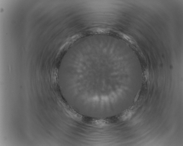 X0000066530423200603311825