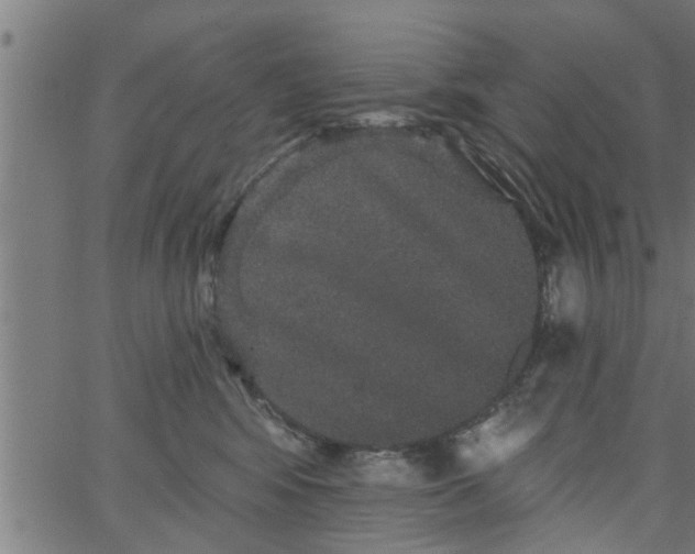 X0000066530424200603311825