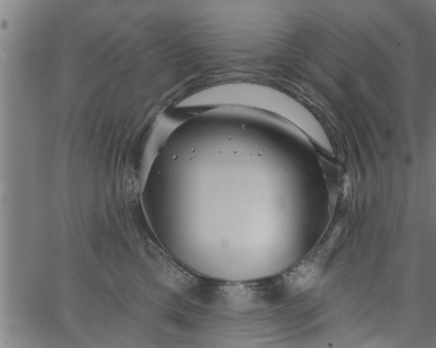 X0000066530425200603311825