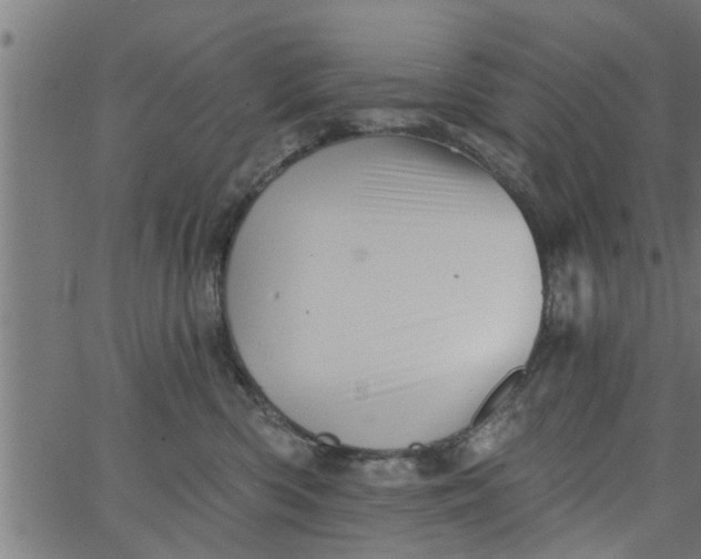 X0000066530426200603311825