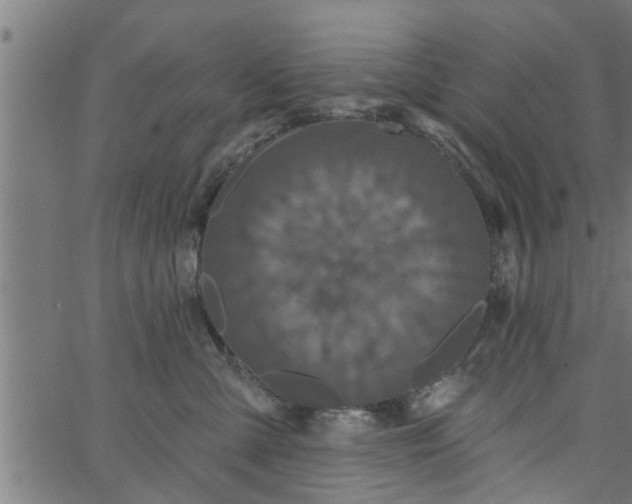 X0000066530427200603311825