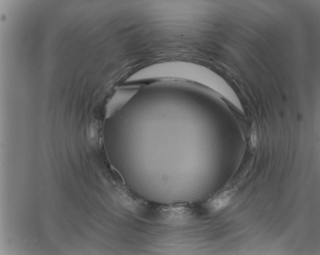 X0000066530428200603311825