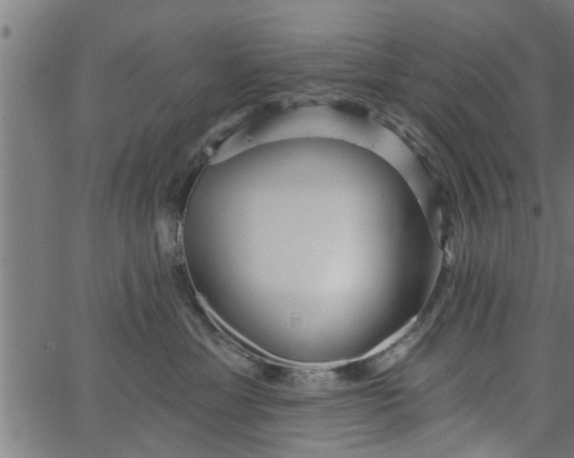 X0000066530429200603311825