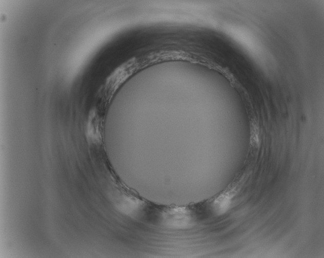 X0000066530431200603311824